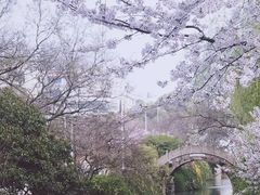 -苏州上方山国家森林公园