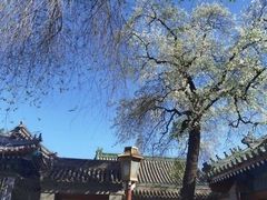 -北京国子监胡同