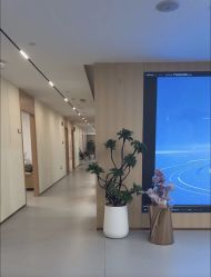 -上海伊莱美医疗美容医院