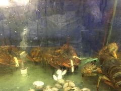 -明记海鲜大排档(巽寮湾店)