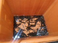 -京泰隆生鲜超市(林后店)