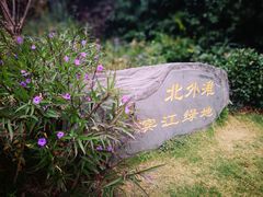 -北外滩滨江绿地