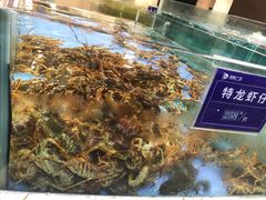 -旺顺阁海鲜广场(亚运村店)