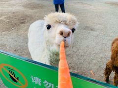 -南京金牛湖风景区