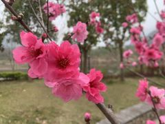 -温州永嘉书院