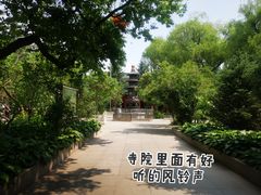 -哈尔滨极乐寺