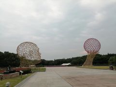 -东方绿舟景区