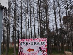 -上海长兴岛郊野公园