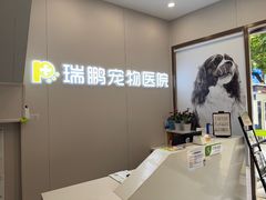 -瑞鹏宠物医院·微创内窥镜·骨外科·牙科(翠竹分院)