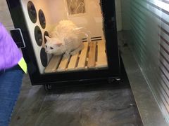 -暖阳宠物医院·犬猫康复中心·骨科
