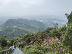 -梧桐山风景名胜区
