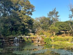 -东莞植物园