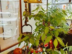 -芙蕾哥哥souffle