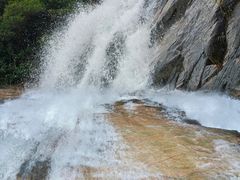 -广州白江湖森林公园