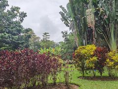 -中国科学院西双版纳热带植物园