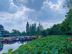 -桂湖森林公园