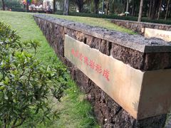 -王借岗森林公园