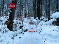 -秦岭风景区