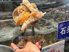 -亚马逊蒸汽活海鲜自助(LCM置汇旭辉广场店)