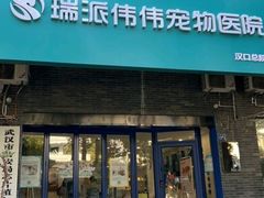 -伟伟宠物医院·CT影像中心·瑞派犬猫综合性门诊(汉口总院)