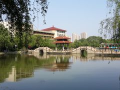景点-峙山公园