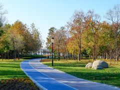 -羊亭河湿地公园