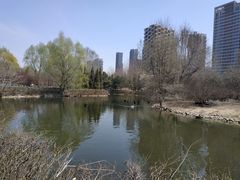 -长白岛森林公园