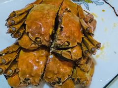 -呼吸森林·生态农庄农家乐私房菜