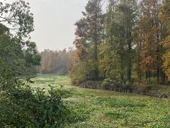 -上海海湾国家森林公园