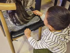 -平行世界·猫咖(首经贸店)
