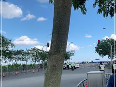 -南汇嘴观海公园