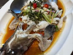 -滋粥楼·顺德菜(番禺广场总店)