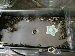 -欢乐牧场海鲜烤肉自助(牡丹园店)