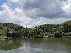 -广州市帽峰山景区