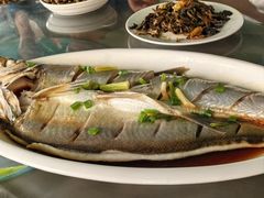 -晓琦农家菜馆·地道农家菜