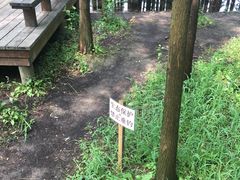 -昆山城市生态森林公园