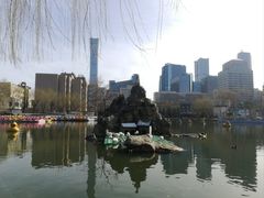 -团结湖公园