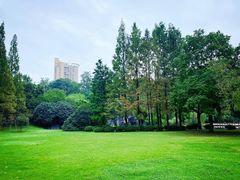 -环城公园-琥珀潭