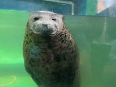 -嘉兴海底世界