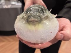 -肆月河豚·新淮扬(金融街店)