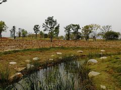 -盘龙城国家考古遗址公园