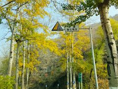 -百里山水画廊乌龙峡谷