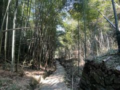-会稽山峡洞漂流-上青古道