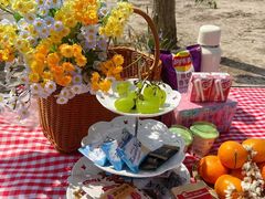 -天津东丽湖风景区