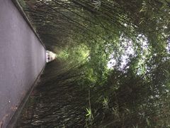 望江楼公园-望江楼公园