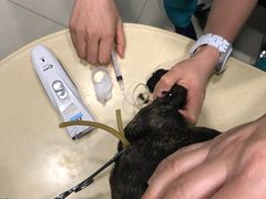 -骐奇宠物诊疗中心(南亭公路店)