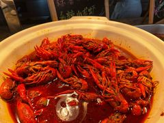 -嘉定凯悦·咖啡厅