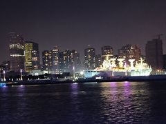 -新龙船黄浦江餐饮游船官方自营店