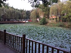 -巴山一绝烤全羊(三圣乡刘家花园店)