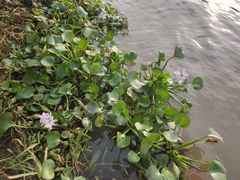 -长广溪湿地公园